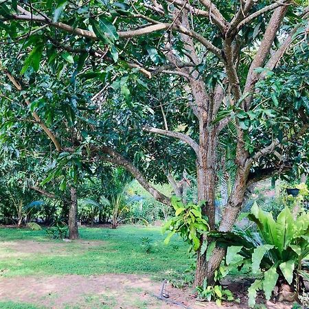 Glorious Villa Tangalle Exterior foto