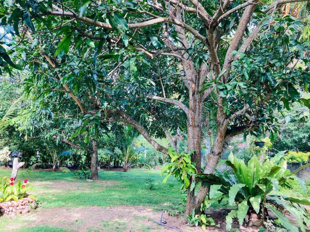 Glorious Villa Tangalle Exterior foto