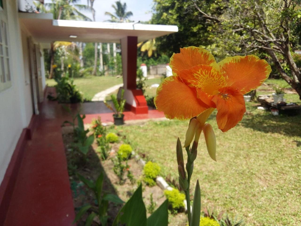 Glorious Villa Tangalle Exterior foto